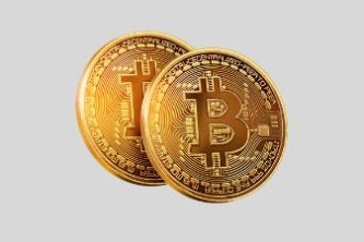 波动狗图片_狗狗币的市场波动性分析：投资者应如何应对风险_波动狗梗来源